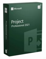 Project 2021 Professional