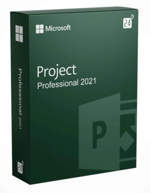 Project 2021 Professional