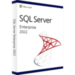 SQL Server 2022 Enterprise 1 User