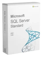 SQL Server 2022 Standard 2 pc