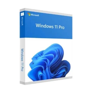 Windows 11 Pro 20 PC